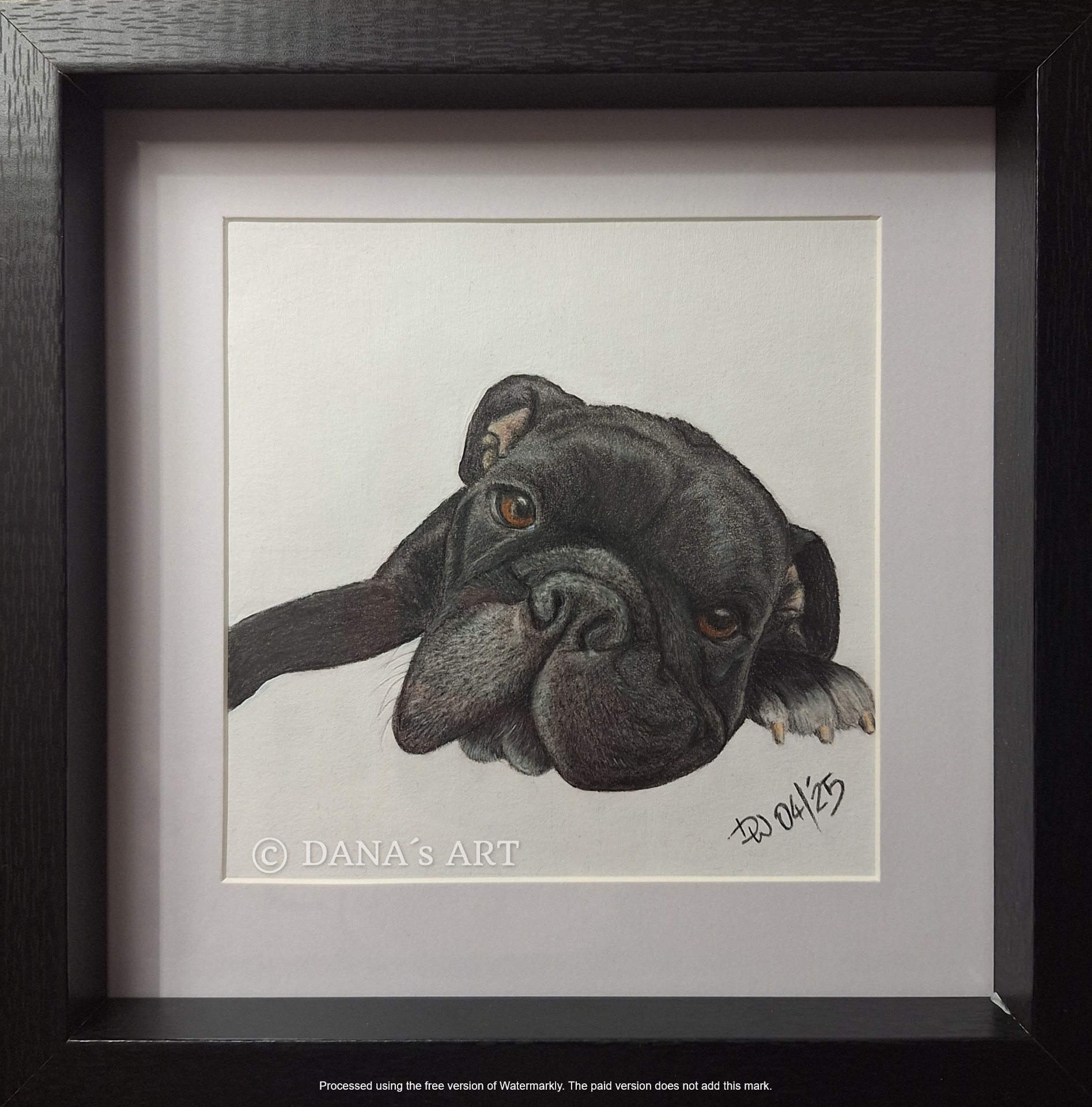 Elli - Polychromos/ Soft Pastell Stifte