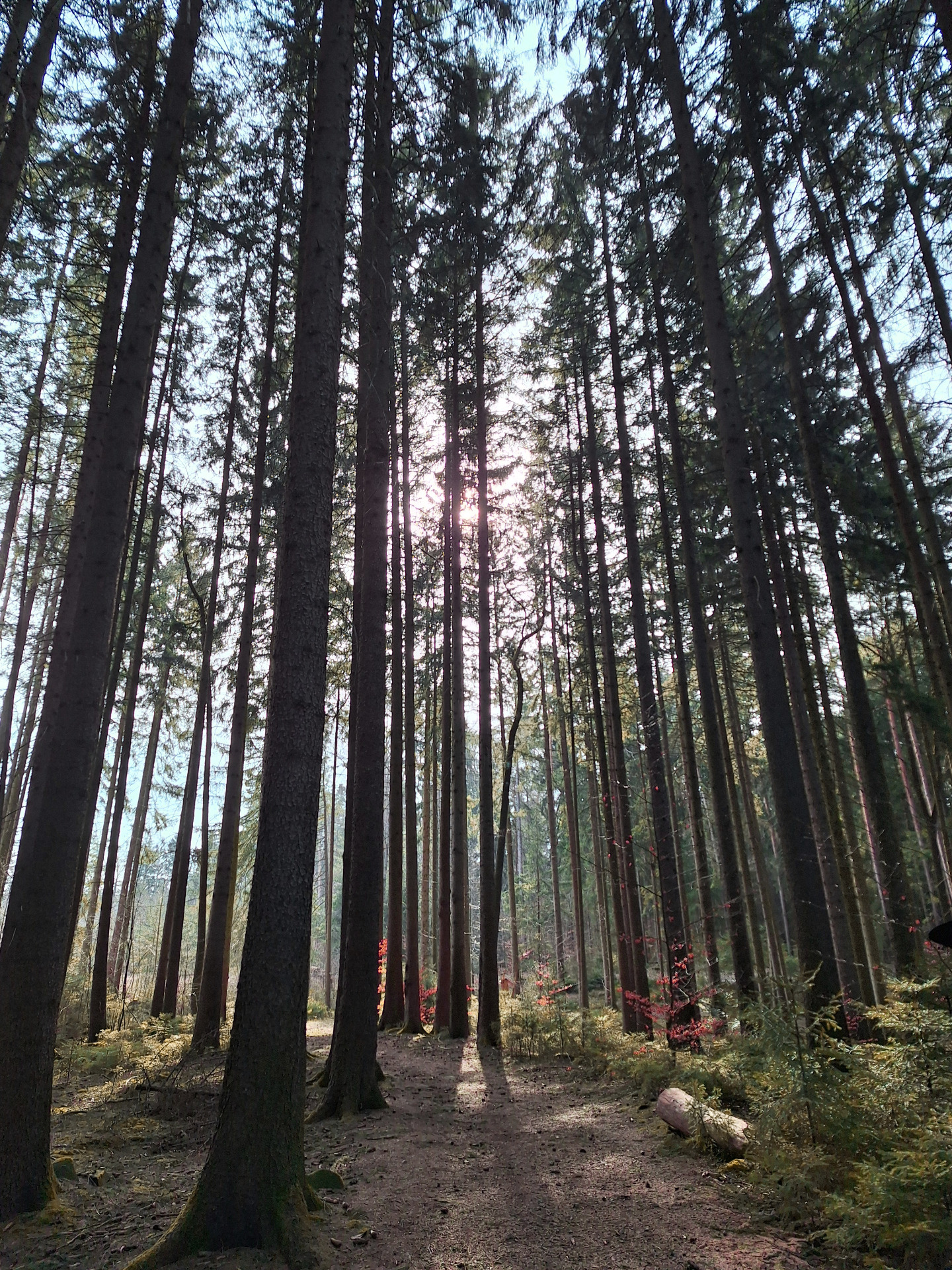 "Die schwierigste Zeit in unserem Leben ist die beste Gelegenheit, innere Stärke zu entwickeln." Dalai Lama