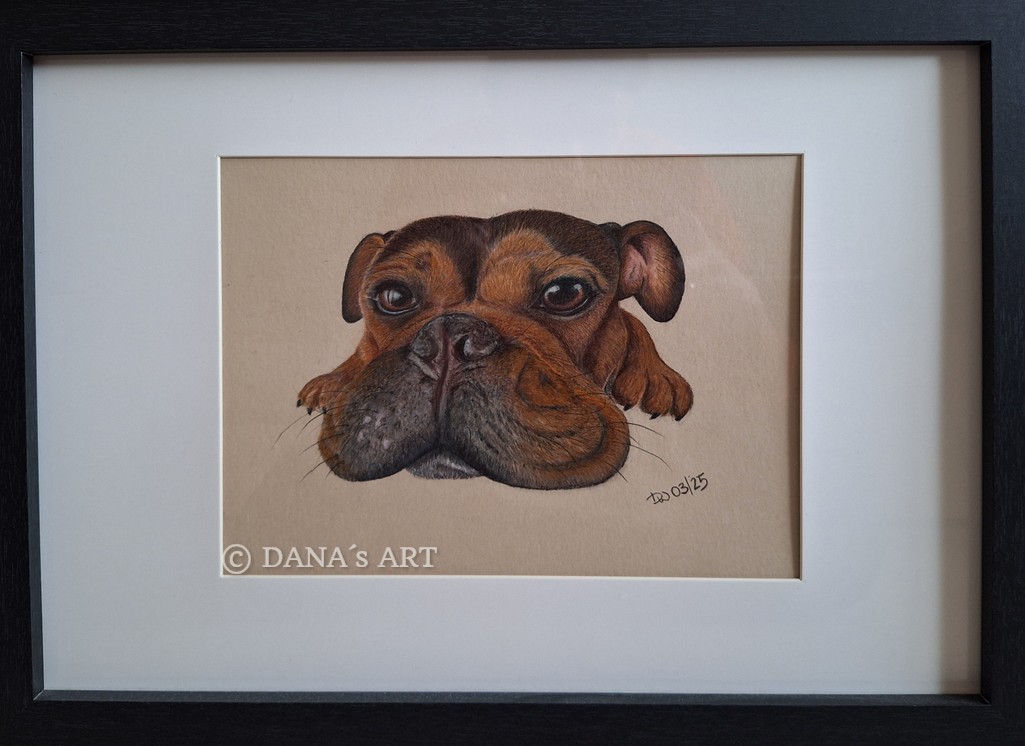 Nala - Polychromos/Soft Pastell Stifte