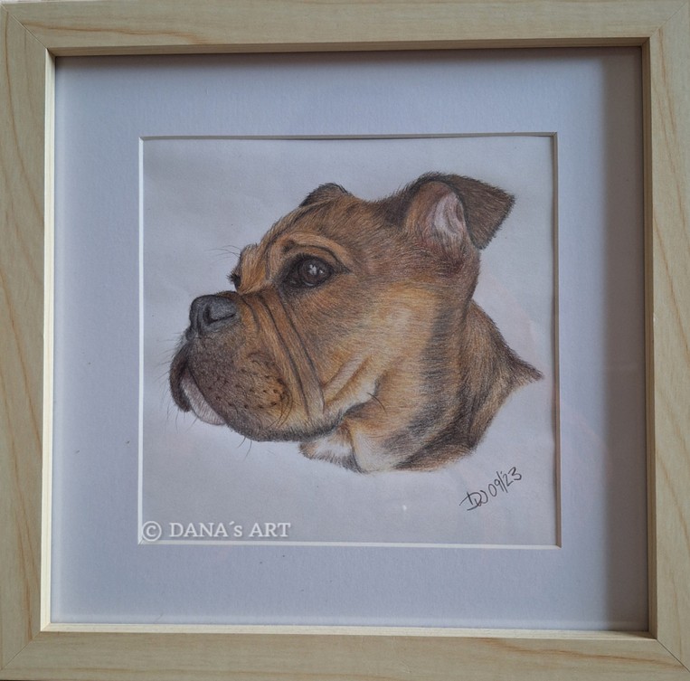 Nala - Polychromos